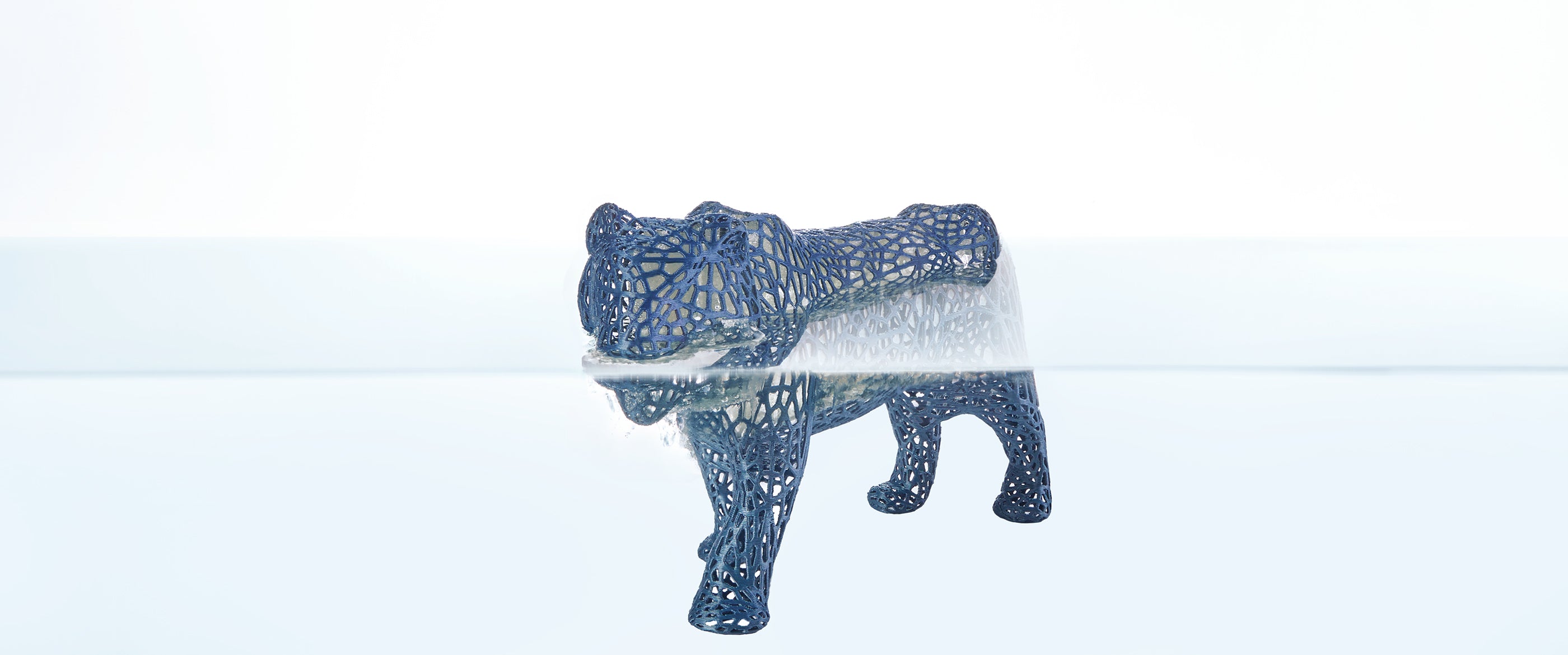 ANYCUBIC-ES