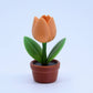 Pack Encanto de Pascua de Anycubic