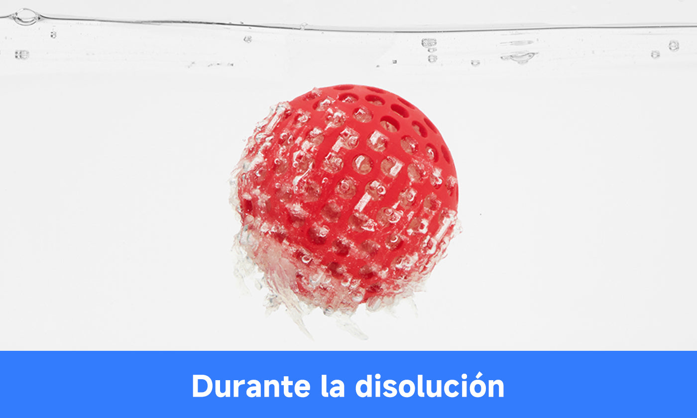 ANYCUBIC-ES
