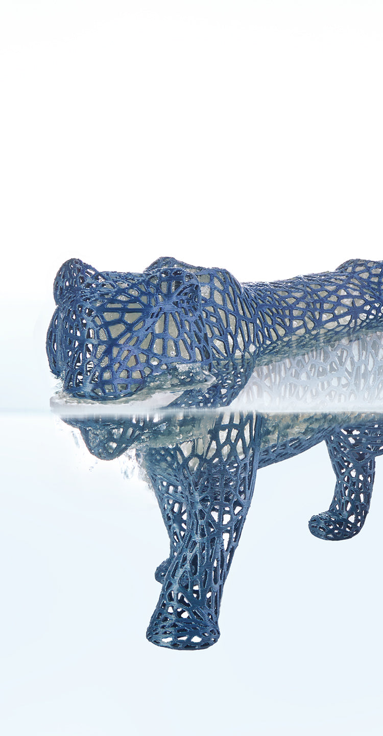 ANYCUBIC-ES